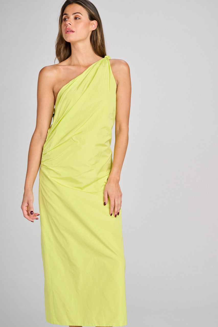 Carol Long Dress